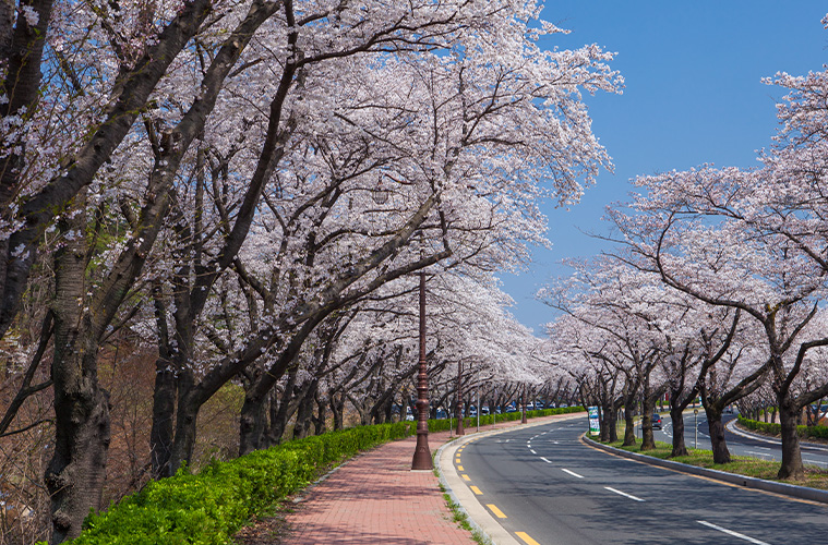 경주 보문 관광단지